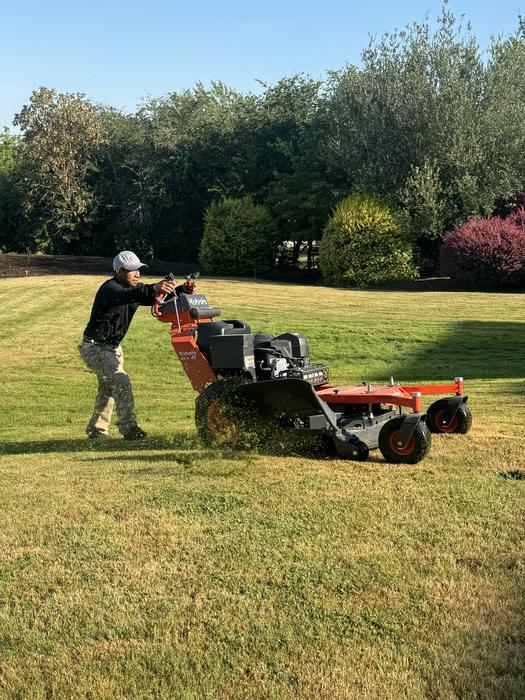 Mowing on a regular-route property