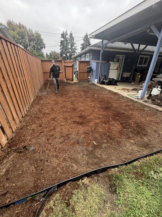 Phase 1 — the strip cleared back to bare soil